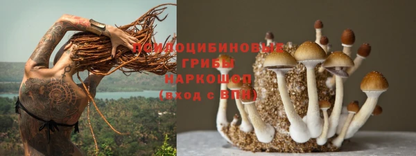 Альфа ПВП Алексин